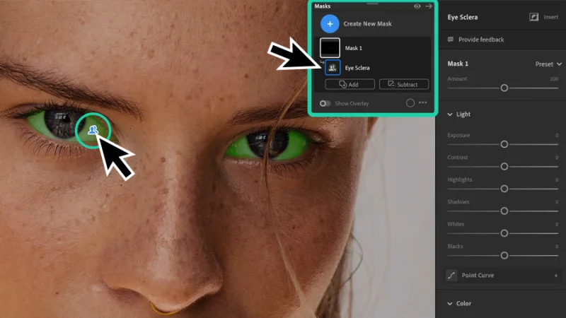 masking icon indicator highlighted in lightroom