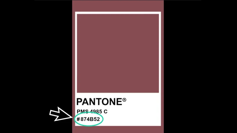 hexadecimal code #874b52 equivalence to pantone 4985 coated