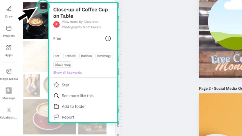 alternative search keywords displayed inside information panel in canva