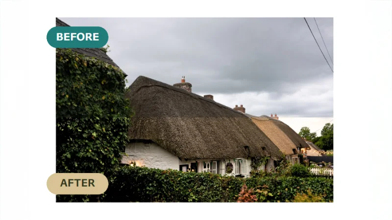 before and after previews of image editing performed in canva
