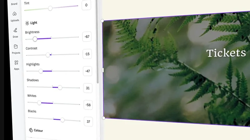 image editing settings interface in canva