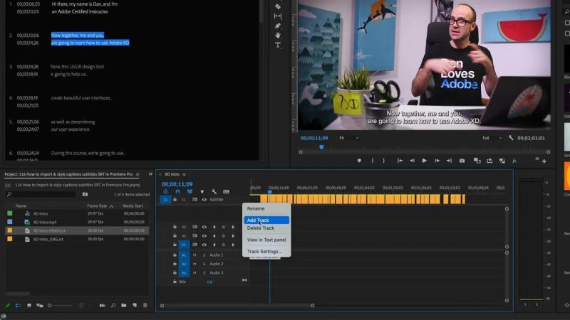 Premiere Pro timeline showing a right-click popup menu on the Subtitle track header with the 