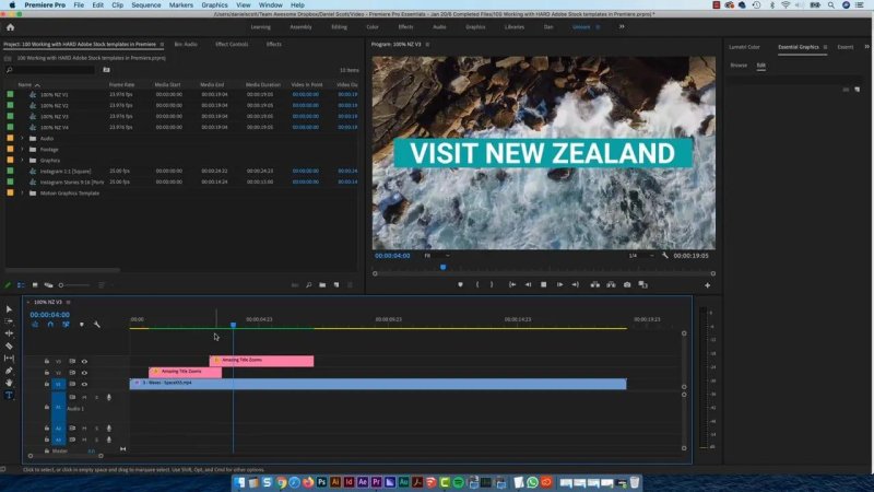 Premiere Pro Program Monitor showing the bold white text 