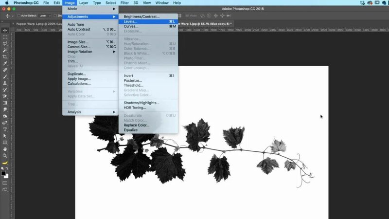 Adobe Photoshop menu bar showing Image, Adjustments expanded with options like Brightness/Contrast, Levels, and Curves, above a black-and-white silhouette cut-out of a leafy vine branch.