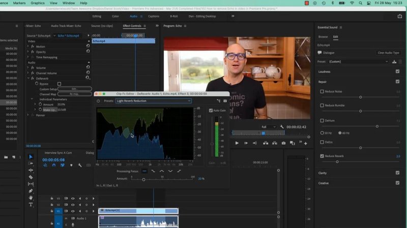 Premiere Pro workspace showing the open Clip Fx Editor dialog over the program monitor, displaying a real-time frequency spectrum graph, amount slider set to 20%, and the Light Reverb Reduction preset selected.