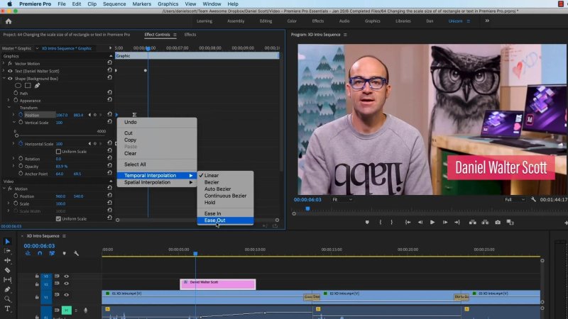 Premiere Pro Effect Controls panel applying 