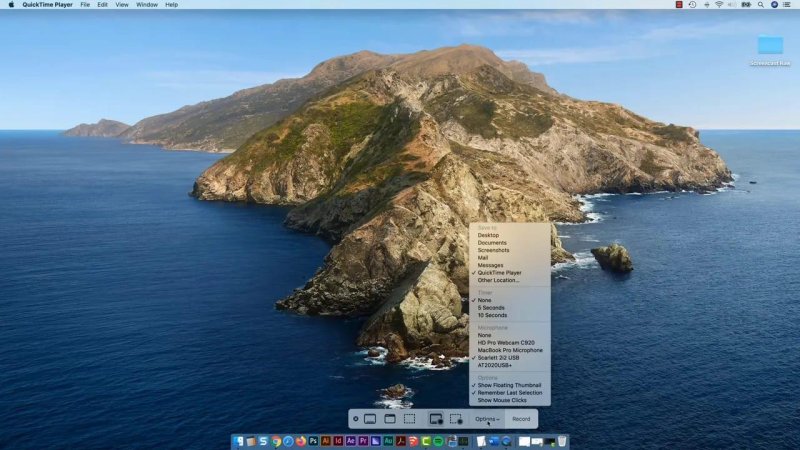 macOS screen recording toolbar open with the Options menu expanded, showing destination, timer, and microphone input settings.