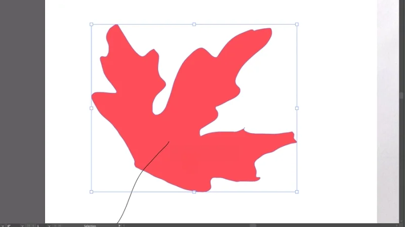 vector drawing of a leaf in adobe illustrator