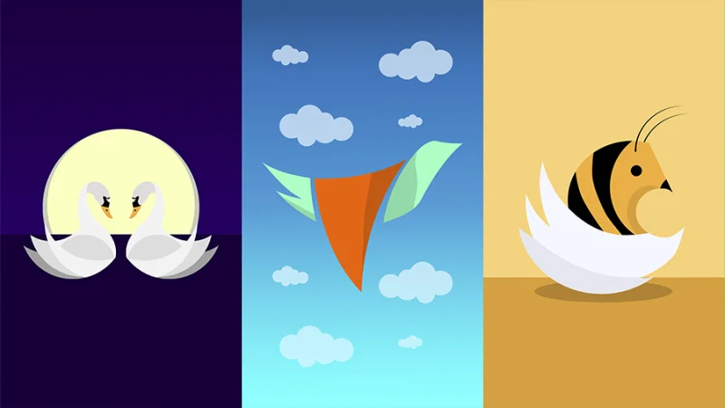 3 graphics Amy Gray has created