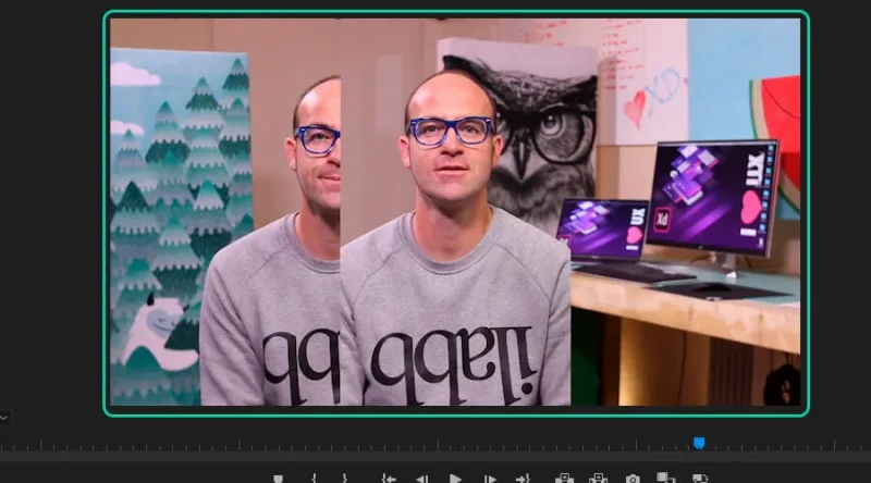 barn doors transition example in premiere pro