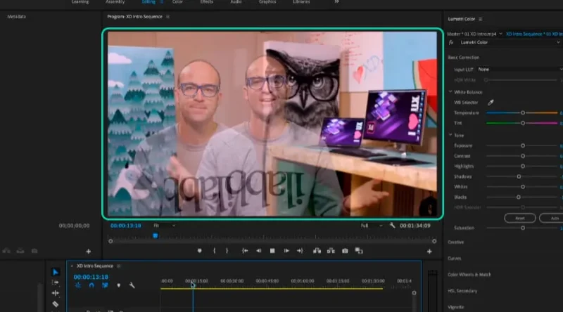dissolve effect example in premiere pro