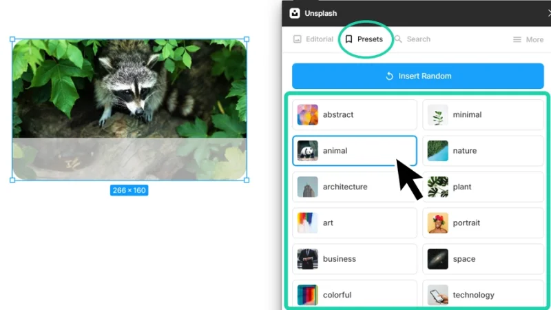 unsplash plugin preset options highlighted in figma