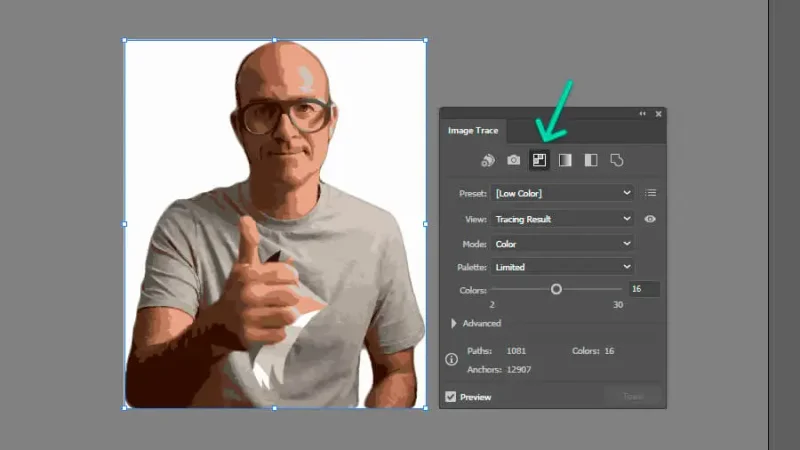 low-color preset version of daniel scott’s image traced photo in adobe illustrator