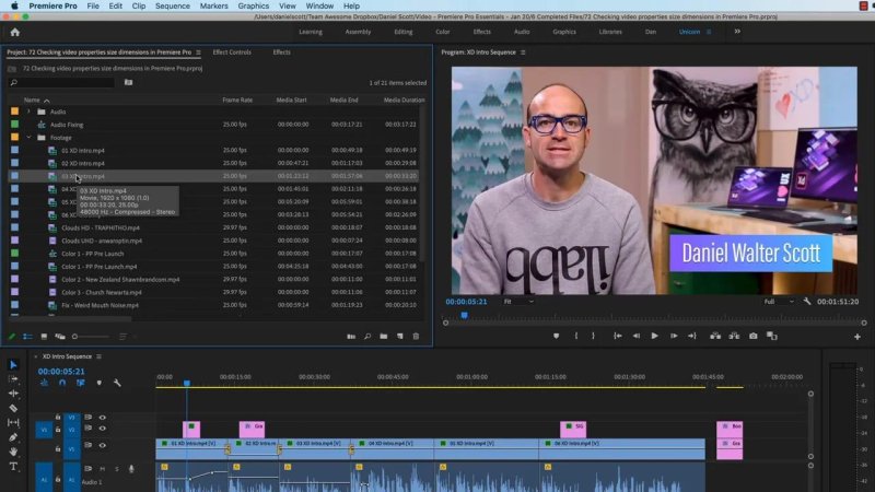 Premiere Pro Project panel showing video clip metadata with a tooltip displaying format, resolution, and audio details.