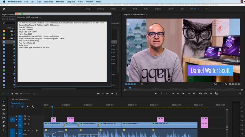 Premiere Pro Properties dialog box showing file details, codec, and format specifications for an imported MP4 video file.
