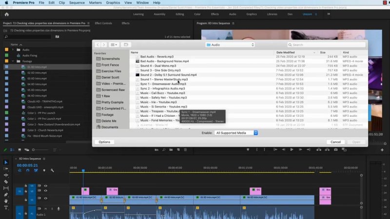 Premiere Pro file import window displaying an audio file list with a video tooltip previewing format and duration.