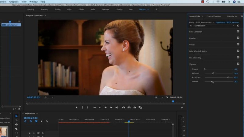 Premiere Pro workspace showing the Lumetri Color panel's 