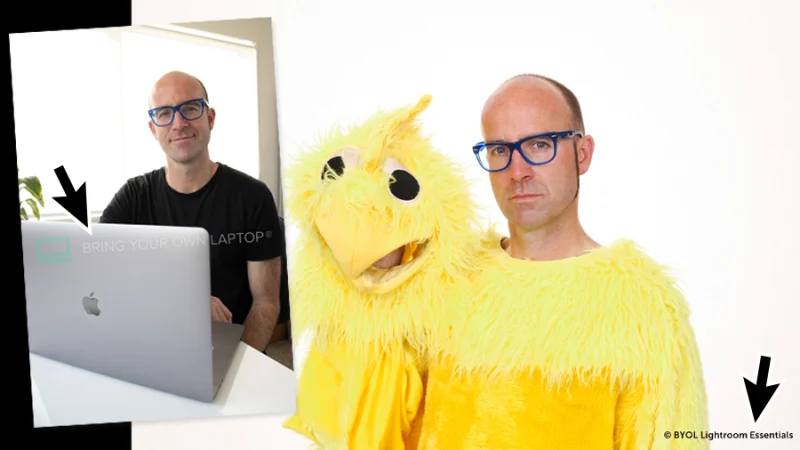two photos of working dan and yellow bird dan with highlighted watermarks